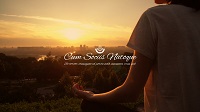 Thumbnail image for a Cool eLearning course featuring a woman sitting and meditating during sunset.