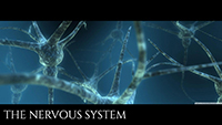 Nervous System eLearning Course Thumbnail with 3D Neuron Illustration on Blue Background