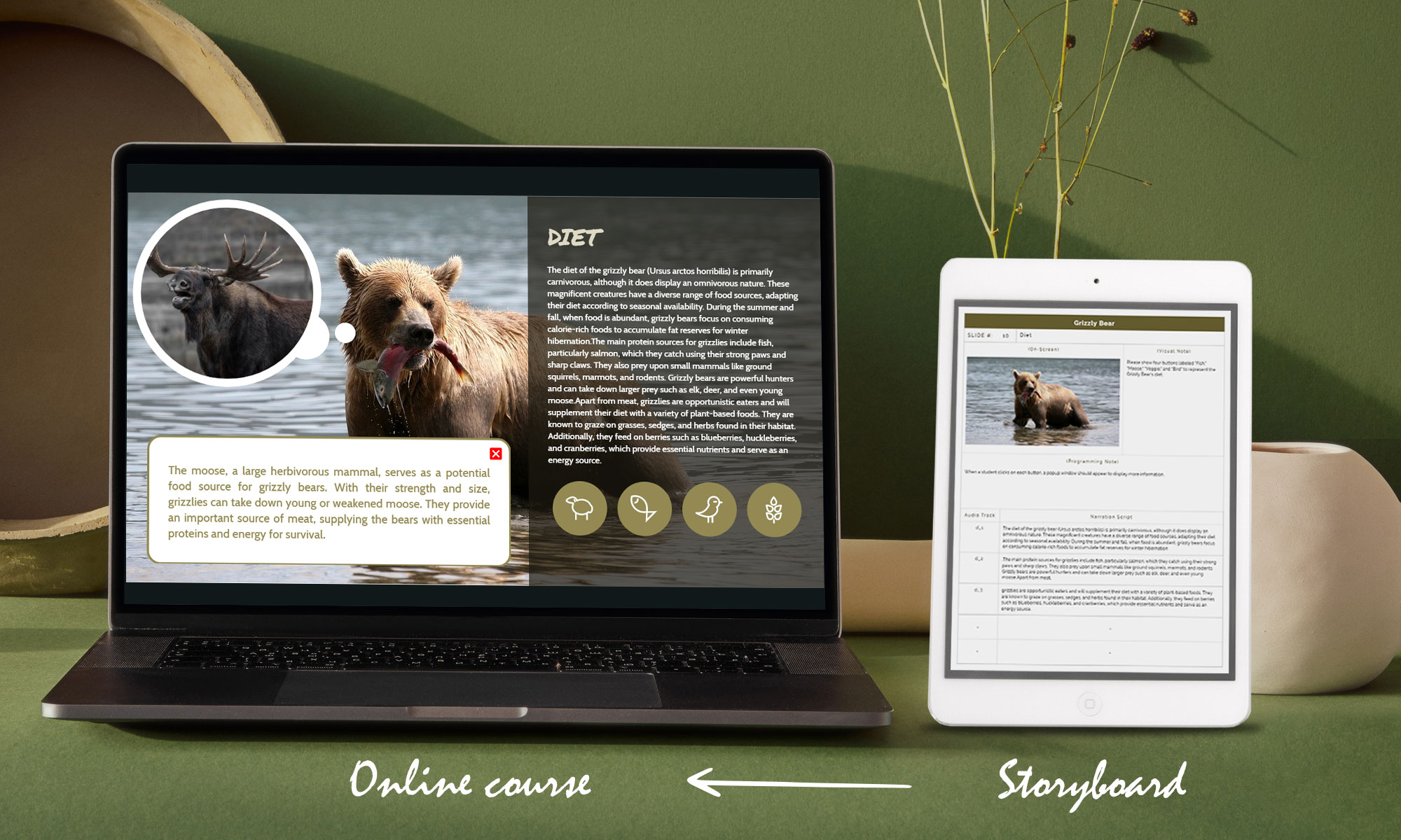 Laptop displaying online course on Grizzly Bear's diet; Tablet PC showing eLearning storyboard on Grizzly Bear's diet with letters representing storyboard development into an online course